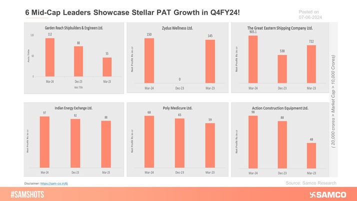 Here's the list of 6 mid-cap leaders that showcased stellar PAT growth in Q4FY24.
