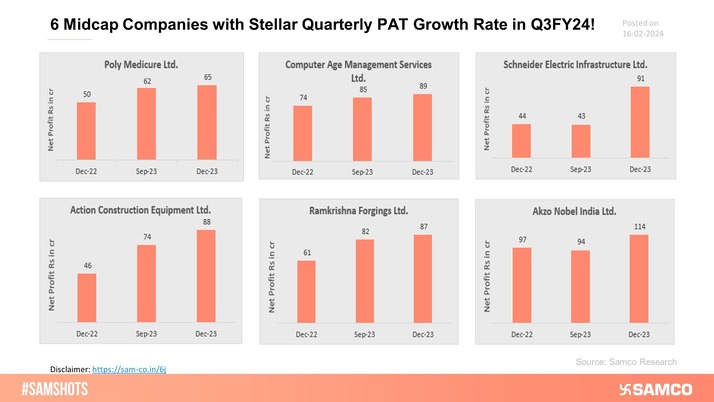 Here is the list of Mid-Cap companies that have performed well and delivered exceptional results in Q3FY24. Investors can keep these stocks on their watchlist.