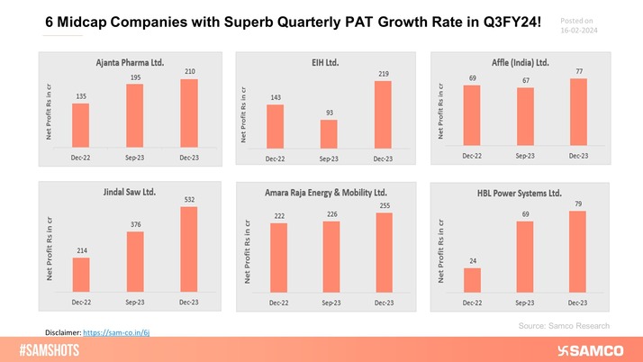 Here is the list of Mid-Cap companies that have performed well and delivered exceptional results in Q3FY24. Investors can keep these stocks on their watchlist.