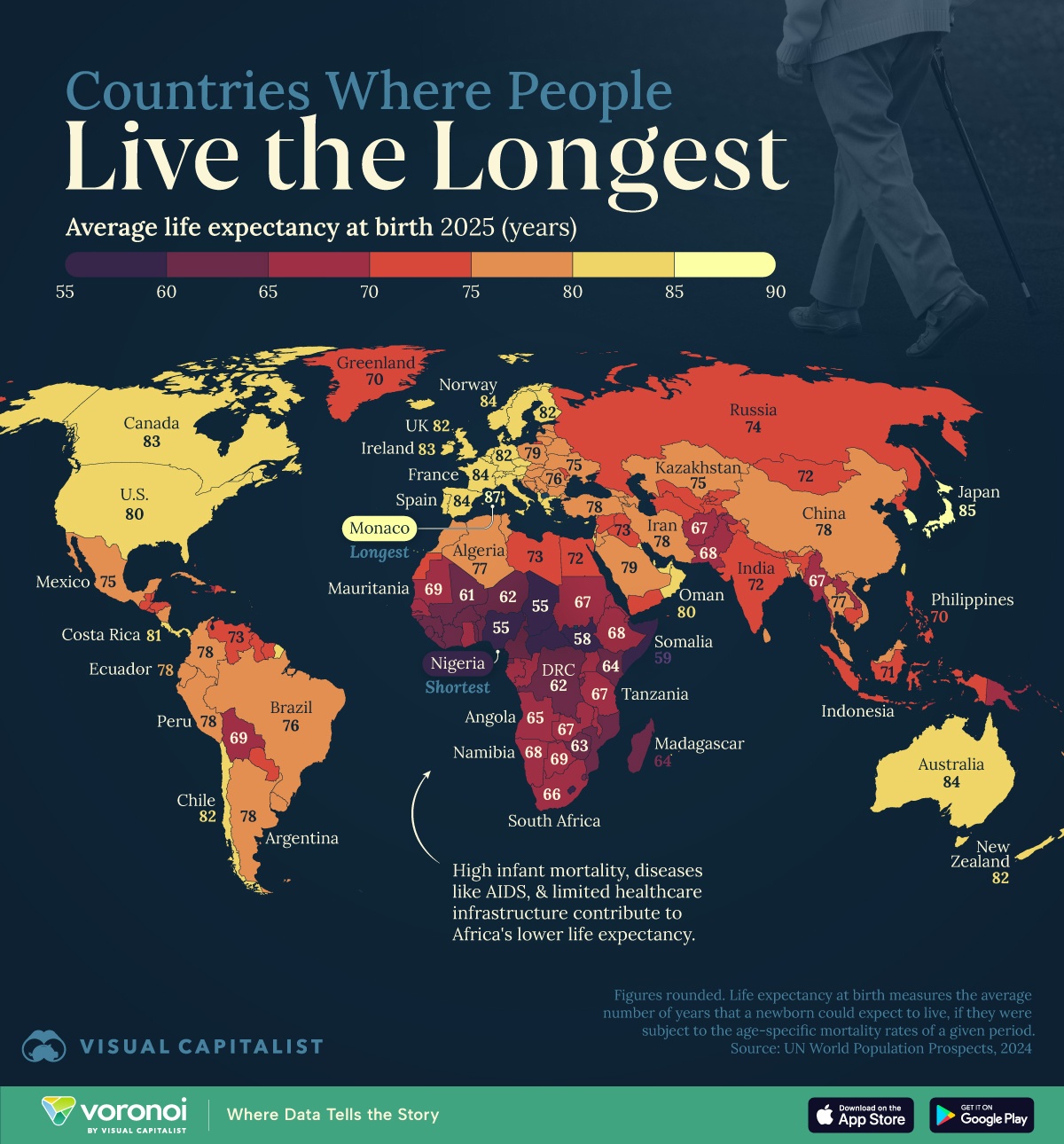 Image Source: @ VisualCap (Twitter)