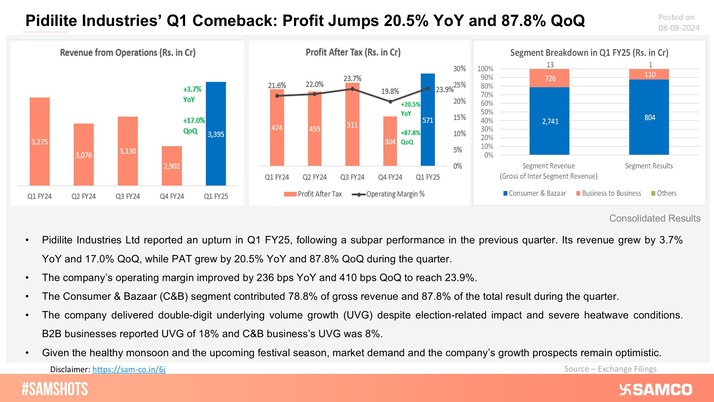 Here’s snapshot of Pidilite Industries’ upturn in quarterly performance: