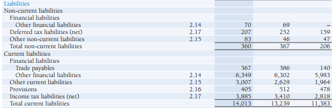 Borrowings or Liabilities profile of a Balance sheet