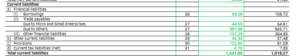 Current Liabilities