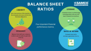 Financial-Ratios-BS