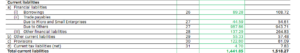 Non Current Liabilities