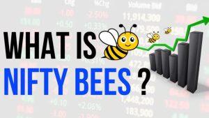 What is Nifty BeES?
