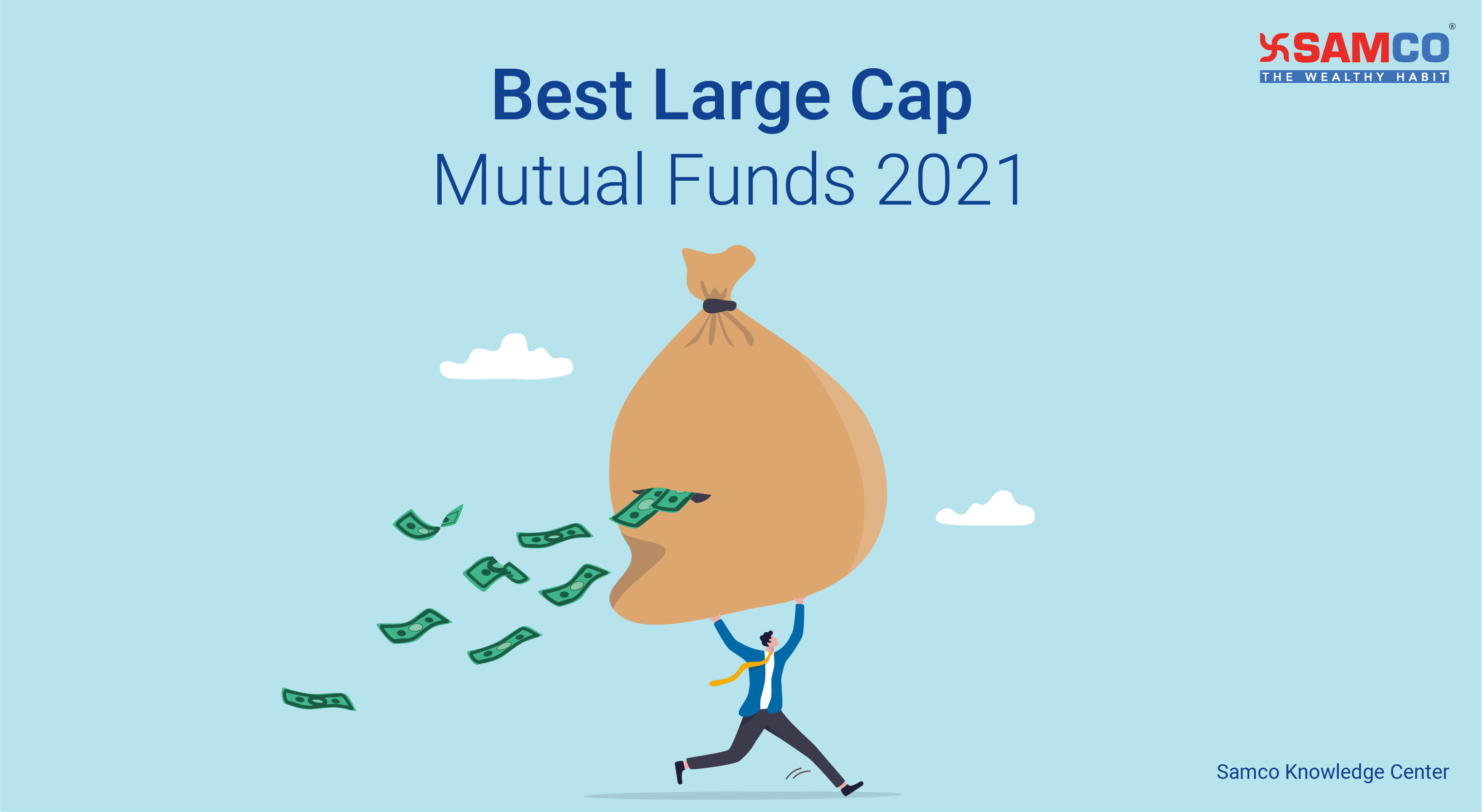 Best Large Cap Mutual Funds 2021