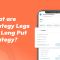 What Are Strategy Legs in a Long Put Strategy?