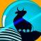 Ayush Wellness Share Hits 5600% Rally in 2 Years — A Small-Cap Marvel in Healthcare