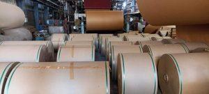 Banganga Paper Industries Share Price: 850% Rise in 2.5 Years Sparks Market Buzz