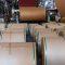 Banganga Paper Industries Share Price: 850% Rise in 2.5 Years Sparks Market Buzz