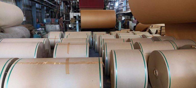Banganga Paper Industries Share Price: 850% Rise in 2.5 Years Sparks Market Buzz