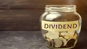 Dividend Bonanza: Voltas, United Breweries, Tata Chemicals Among 5 Firms Announce Up To ₹11 Dividend