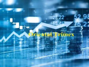 Oriental Trimex Shares Surge as Company Turns Profitable and Bags Granite Mine Lease