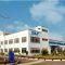 SKF India Shares Jump 9% After Strong Q4FY25 Results and Dividend Announcement