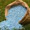 Fertiliser Stocks Slip: FACT, Coromandel Share Price Falls After China's Export Block