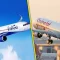 IndiGo, SpiceJet Share Price Surge as Crude Oil Prices Dip on Iran-Israel Ceasefire