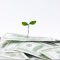 NELCO, Asian Paints, Tata Elxsi, Indian Bank & More: 5 Stocks Turning Ex-Dividend on 9th–10th June 2025