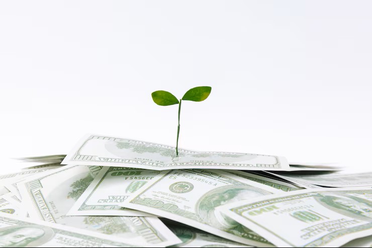NELCO, Asian Paints, Tata Elxsi, Indian Bank & More: 5 Stocks Turning Ex-Dividend on 9th–10th June 2025