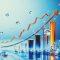 Cochin Shipyard, Mazagon to Silka Interplant Share Price Soars: Defence Stocks Surge Up to 172% in H1 2025