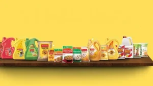 Patanjali Foods Share Price Rises Ahead of First-Ever Bonus Share Decision on July 17