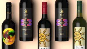Sula Vineyards Share Price Falls 2% as Q1 Revenue Declines 8%, But Wine Tourism Grows 22%