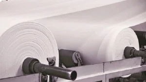 Paper Stocks Slide as Imports Surge: JK Paper, Andhra Paper, West Coast Paper Mills Among Top Losers