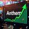 Anthem Bio Share Price Jumps 5% on Strong Q1 Performance in CRDMO and Specialty Business