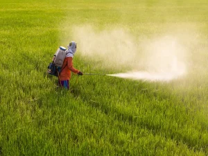 Fertiliser Shares Surge as China Moves to Lift Export Restrictions