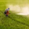 Fertiliser Shares Surge as China Moves to Lift Export Restrictions