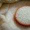 20 Best Sugar Stocks in India 2025: My Analyst’s Perspective