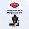 Shringar House of Mangalsutra IPO announcement banner, featuring the company logo, company name, and a design vector.