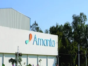 Amanta Healthcare IPO: Allotment Status and Key Details You Need to Know