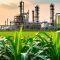 TruAlt Bioenergy IPO Opens: Rs 839 Crore Issue Attracts Early Interest