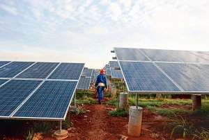 Saatvik Green Energy Shares Rise 2% After Rs 707 Crore Order Win