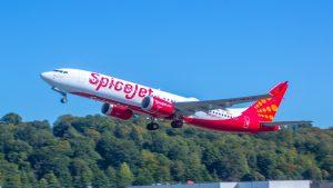 SpiceJet Share Price Today: Airline Doubles Daily Flights, Expands Fleet for Winter Push
