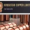 Hindustan Copper Share Price Jumps as Copper Turns the New Gold; Stock Extends Over 50% Rally