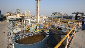 Bharat Rasayan Share Price Falls 6% After Board Approves Stock Split and Bonus Issue