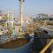 Bharat Rasayan Share Price Falls 6% After Board Approves Stock Split and Bonus Issue