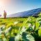 Saatvik Green Energy Shares Surge 10% on Strong Q1FY26 Earnings