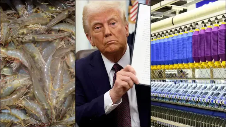Shrimp Stocks Rally Up to 9% as India–US Trade Deal Buzz Lifts Sentiment