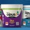 Birla Opus CEO Exit Fuels Surge in Asian Paints and Indigo Shares