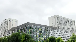 Realty Stocks Surge as Nifty Realty Gains 3% on RBI Rate Cut Optimism