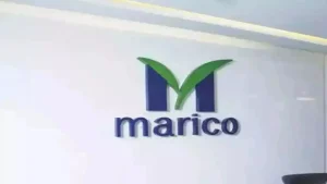 Marico Share Price Today: Stock Edges Higher as Marico Q2 Results Show Strong Revenue Momentum