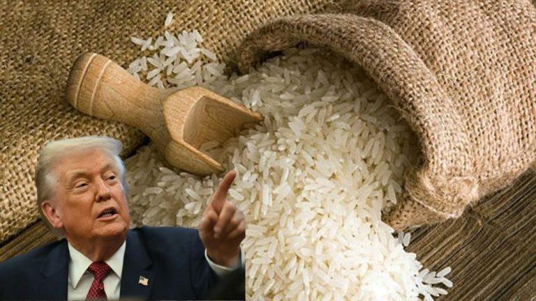 Rice Stocks Fall After US President Signals New Tariffs on Indian Imports