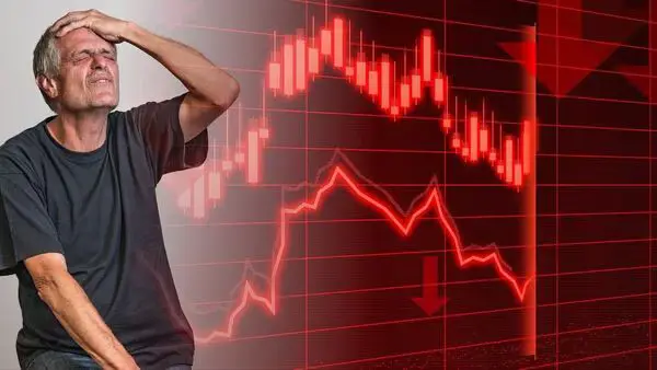 SSMD Agrotech India Share Price Falls on Listing: SSMD Agrotech Debuts at ₹73 Against IPO Price of ₹121