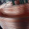 Nifty Metal Stocks Rally: Hindustan Copper Leads Gains Amid Dollar Weakness