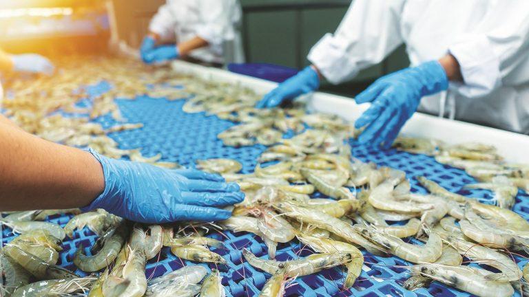 Q3 Results Impact: Avanti Feeds and Apex Frozen Shares Rally Up to 19%, Hit Fresh 52-Week Highs | Stock Market Today