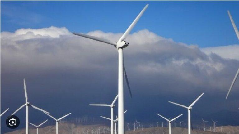 Suzlon, Waaree Energies, Adani Green Share Price Jump as Renewable Stocks Rally in Stock Market Today