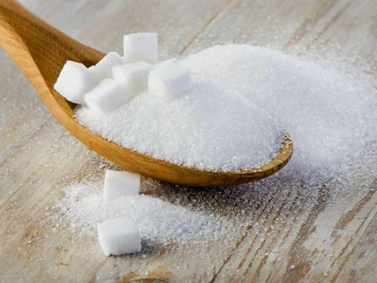 Dhampur Sugar Mills, Dalmia Bharat Sugar, Dwarikesh Sugar Industries and Praj Industries Share Price Jump Despite Market Crash | Stock Market Today